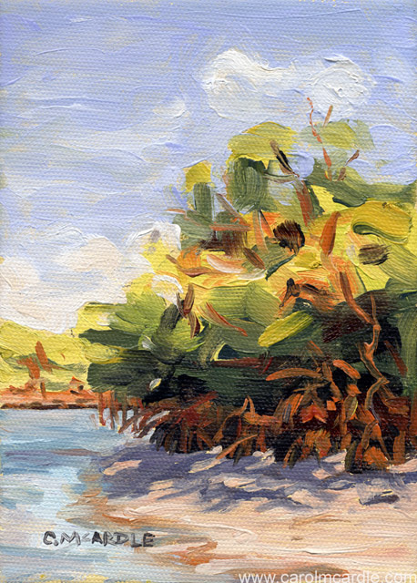 Mangrove Study